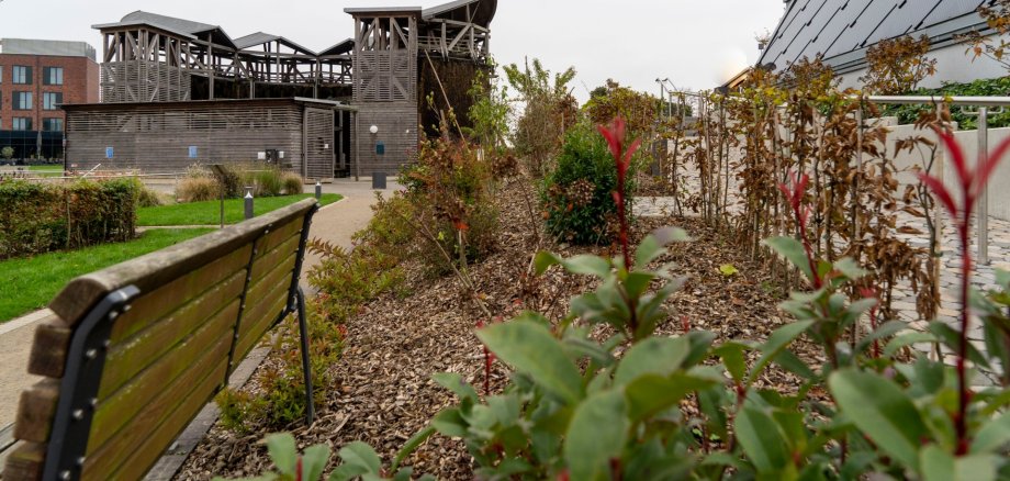 Changed opening hours TI View of the brine garden and the inhalatorium