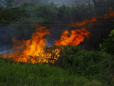 Website images - 1 Website images - 1