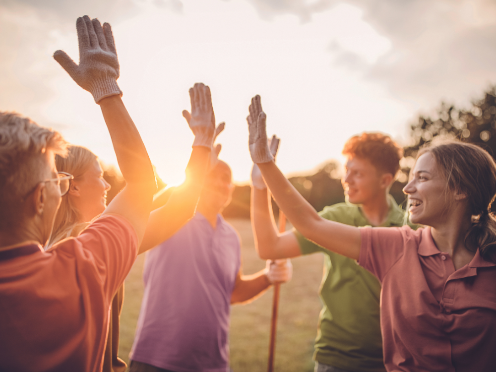 Website afbeeldingen - 1