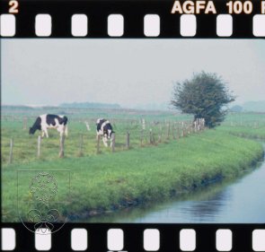 Landschappen Landschappen