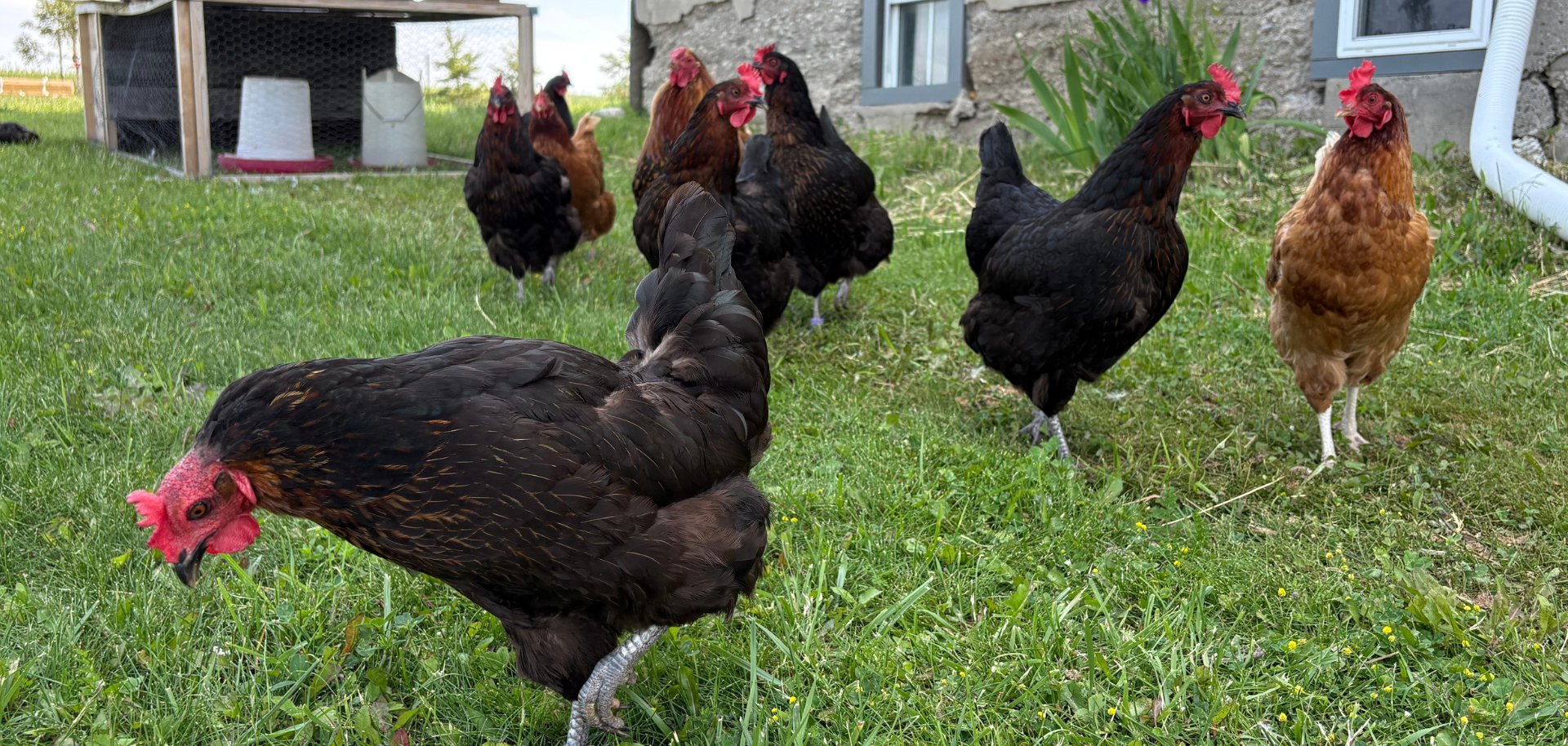 Website heeft betrekking op 16:9 - 1