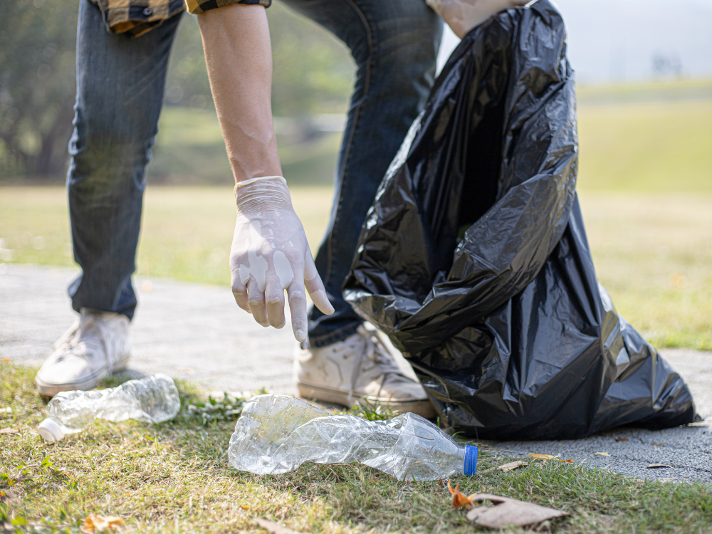 Website afbeeldingen - 1