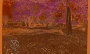 Nasze miasto rozkwita w 2001 roku Nasze miasto rozkwita w 2001 roku