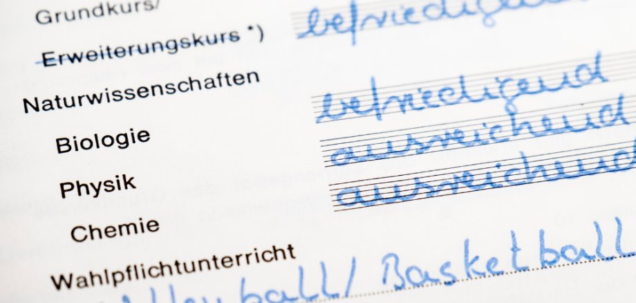 Projekt bez tytułu - 1