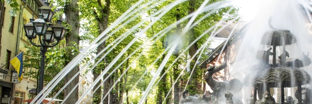 Фонтан "Ноїв ковчег" в дії